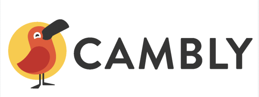 Uncover Cambly VO interview questions and master core interview skills zoom interview cheating | VO Assist