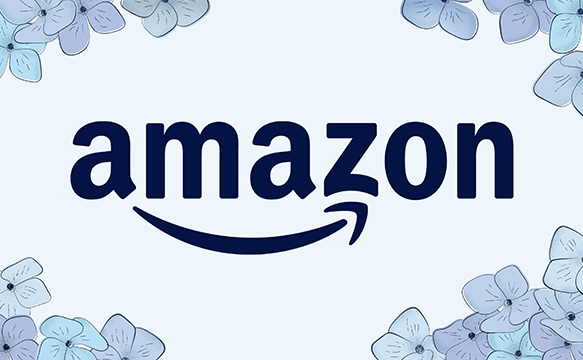 Amazon SDE Intern Interview